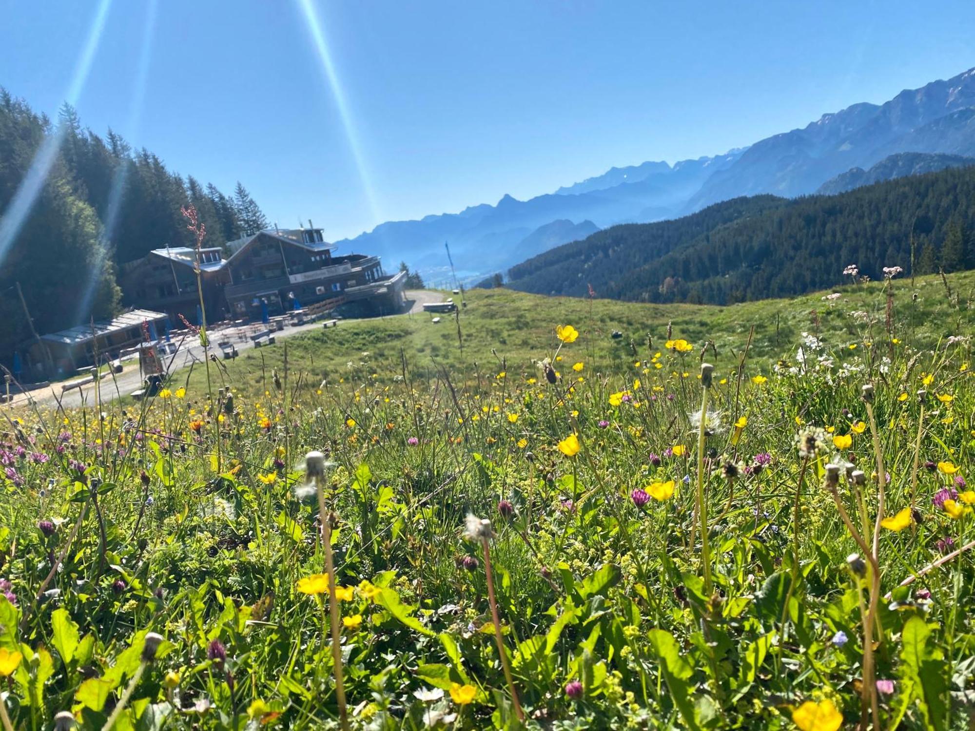 Ferienhaus Sommer 프론텐 외부 사진